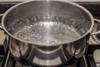 Sous Vide vs Boiling: Key Differences and Which to Choose