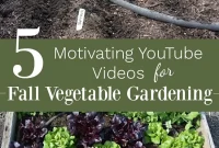 5 Fall Vegetable Gardening Videos to Inspire Your Harvest