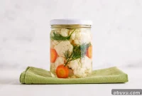 10 Essential Fermenting Supplies Every Home Preserver Needs