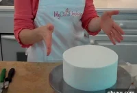 Viva Smoothing Method: Step-by-Step Video Guide