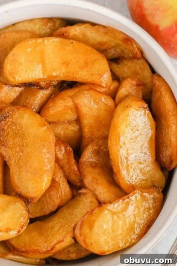 Air fried apples sprinkled with cinnamon in a small white bowl with a spoon next to the bowl.