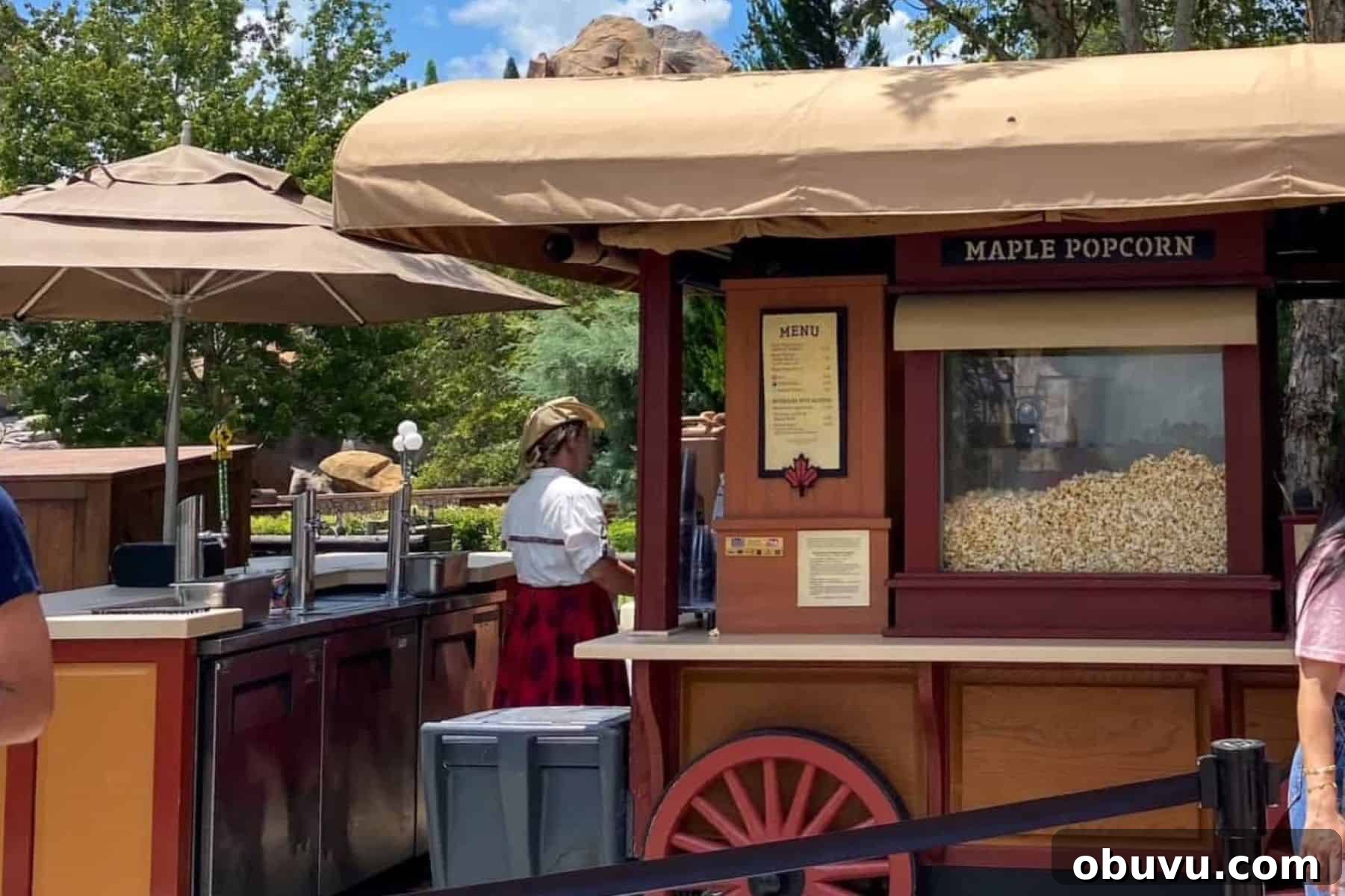 EPCOT Canada Pavilion Popcorn Review — What to Try and Skip 4 popcorn in canada maple popcorn cart