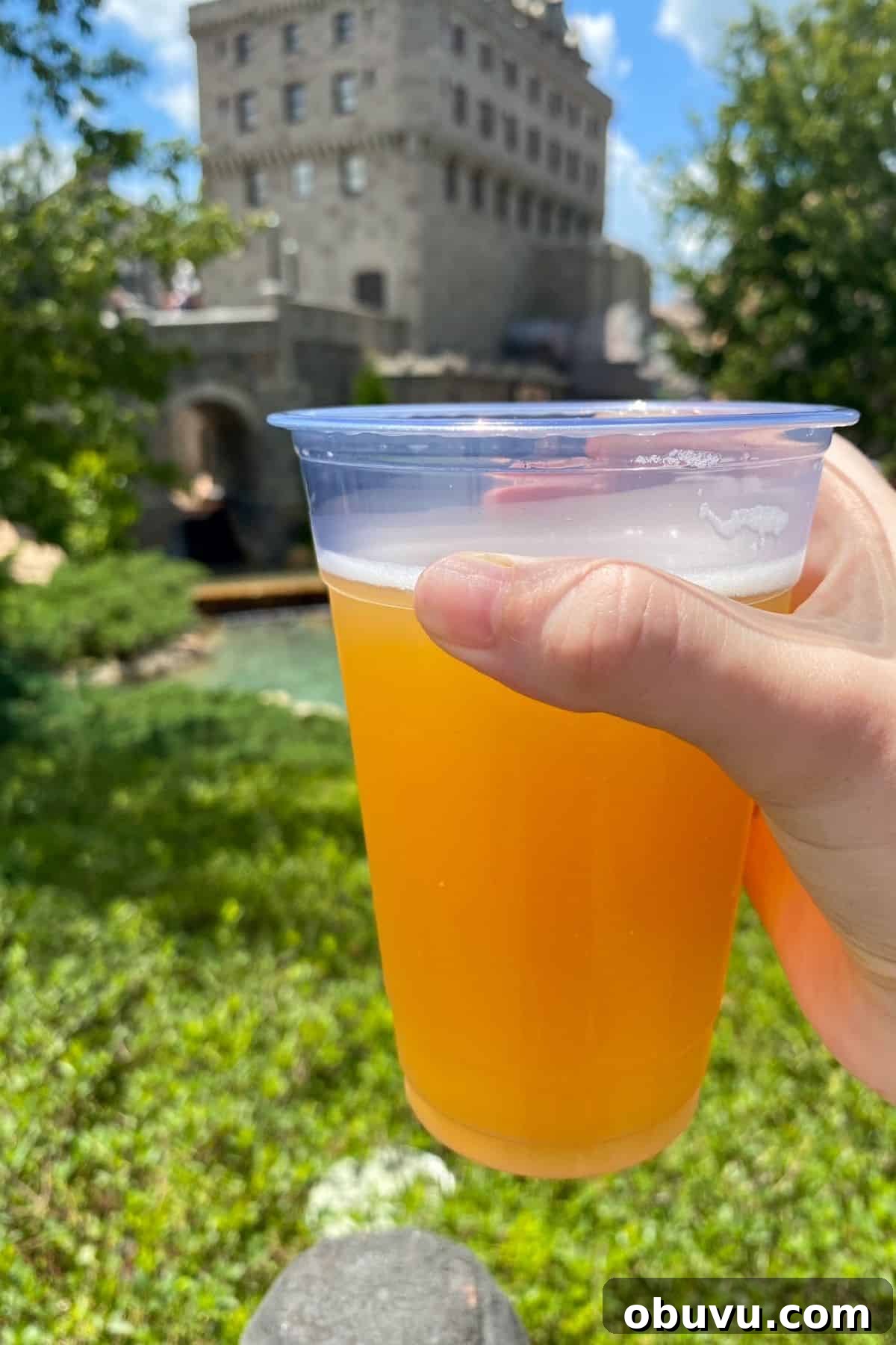 EPCOT Canada Pavilion Popcorn Review — What to Try and Skip 7 la fin du monde draft beef epcot
