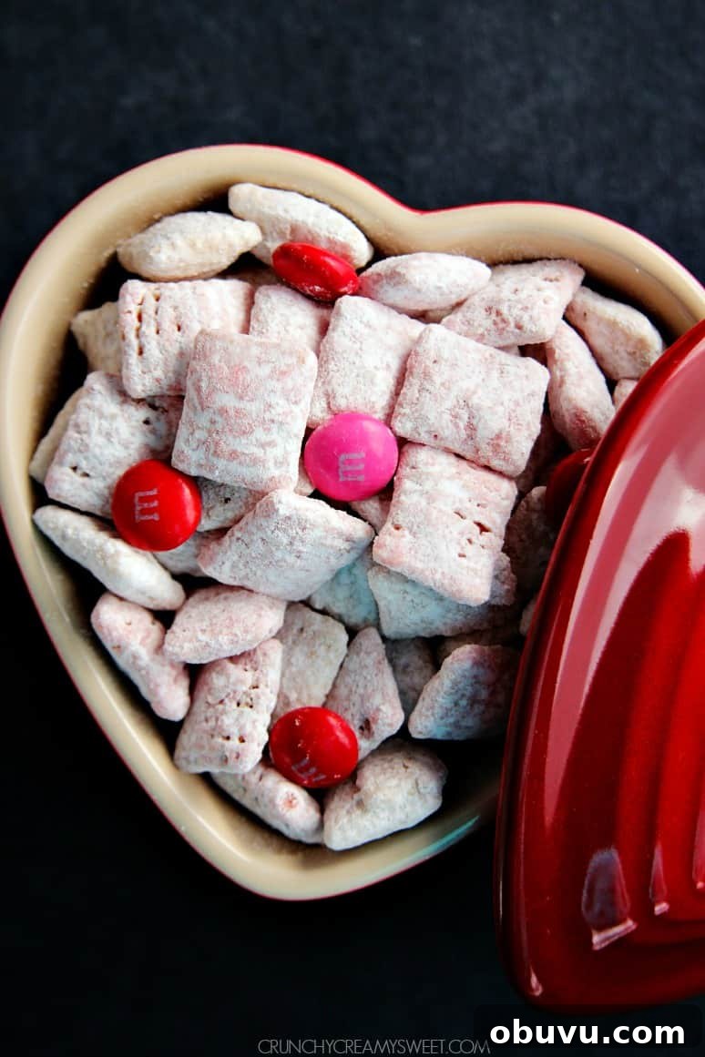 Valentine’s Day Puppy Chow Recipe with Free Printable Tag 3 Valentine's Day Puppy Chow