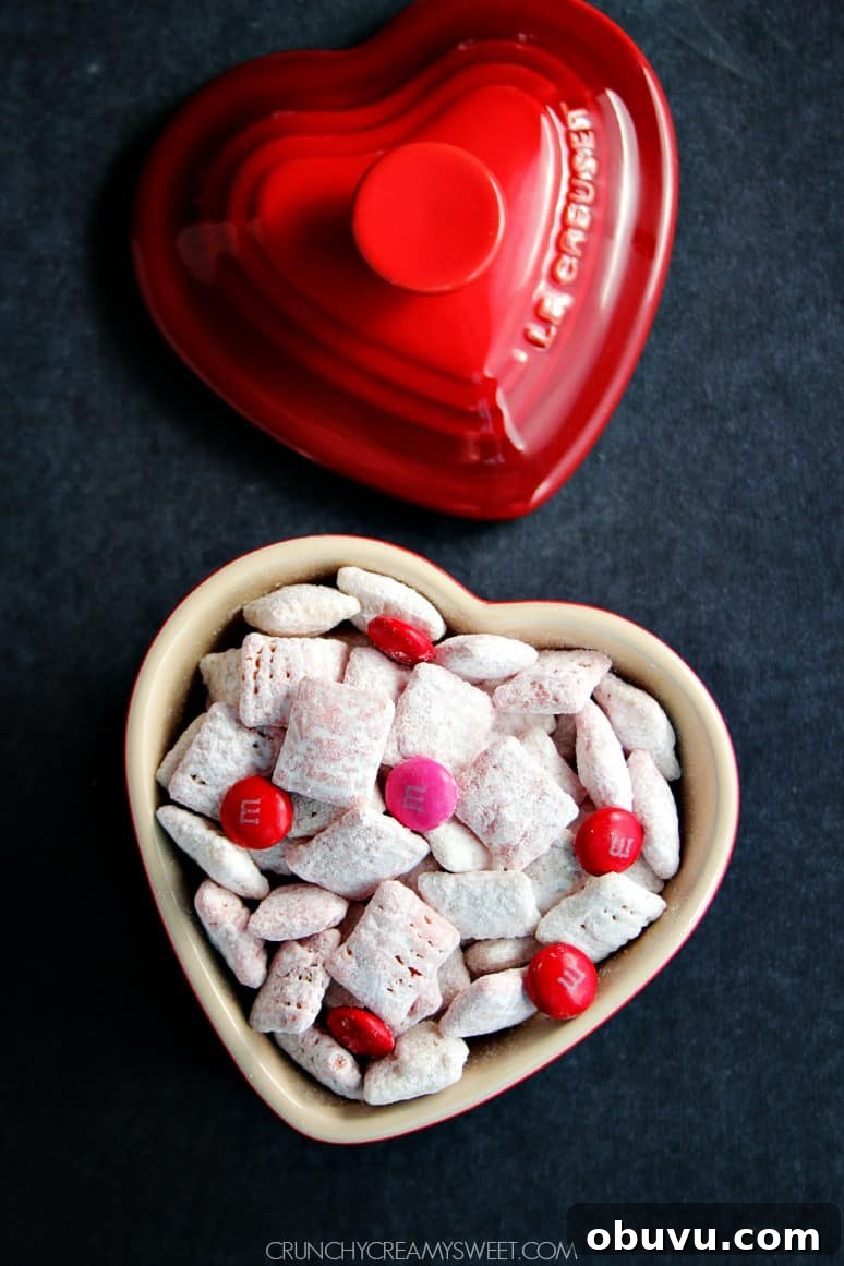 Valentine’s Day Puppy Chow Recipe with Free Printable Tag 5 Valentine's Day Puppy Chow with M&M's