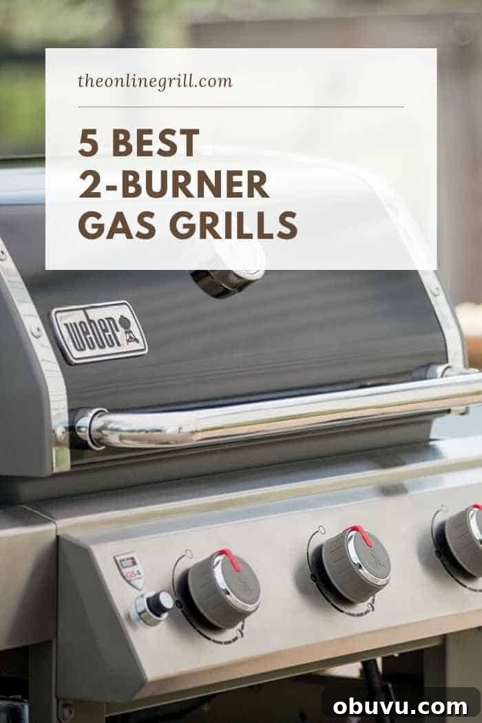 best 2 burner gas grill best 2 burner gas grill