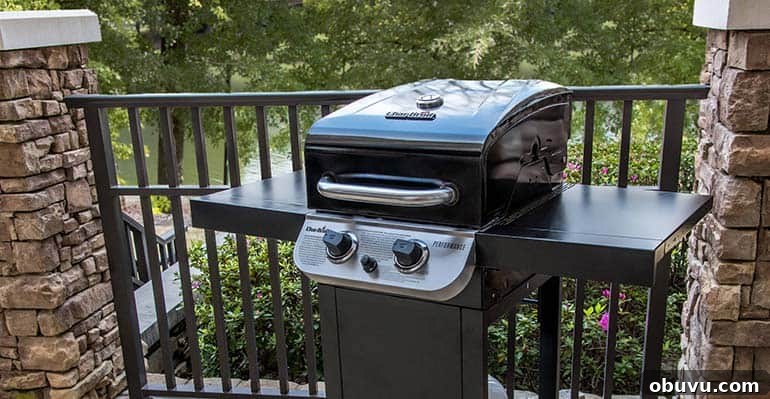 Top 5 2-Burner Gas Grills for 2026 — Reviews & Ratings 2 Char Broil Performance 300 2 Burner