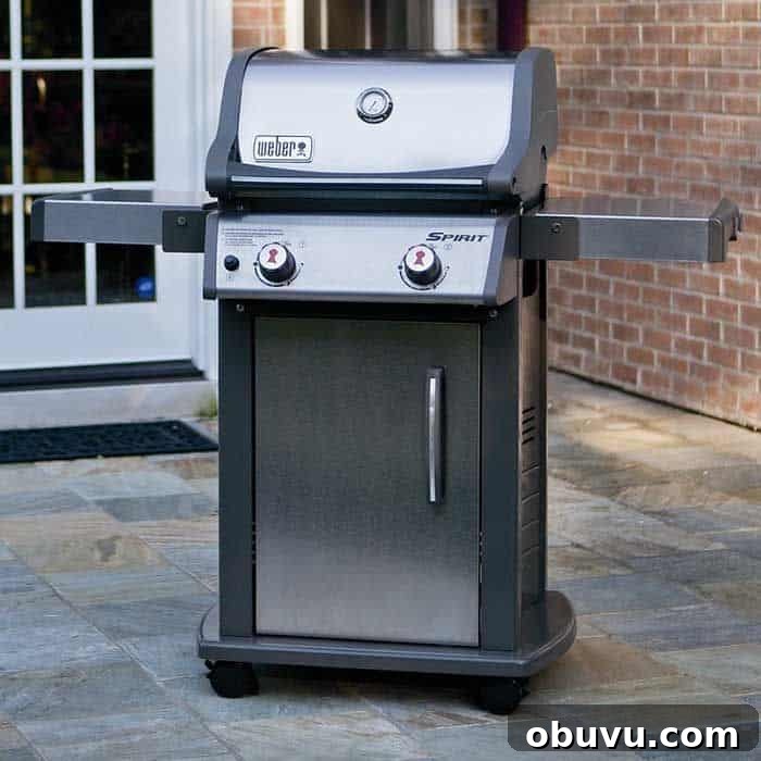 weber spirit e210 grill review weber spirit e210 grill review