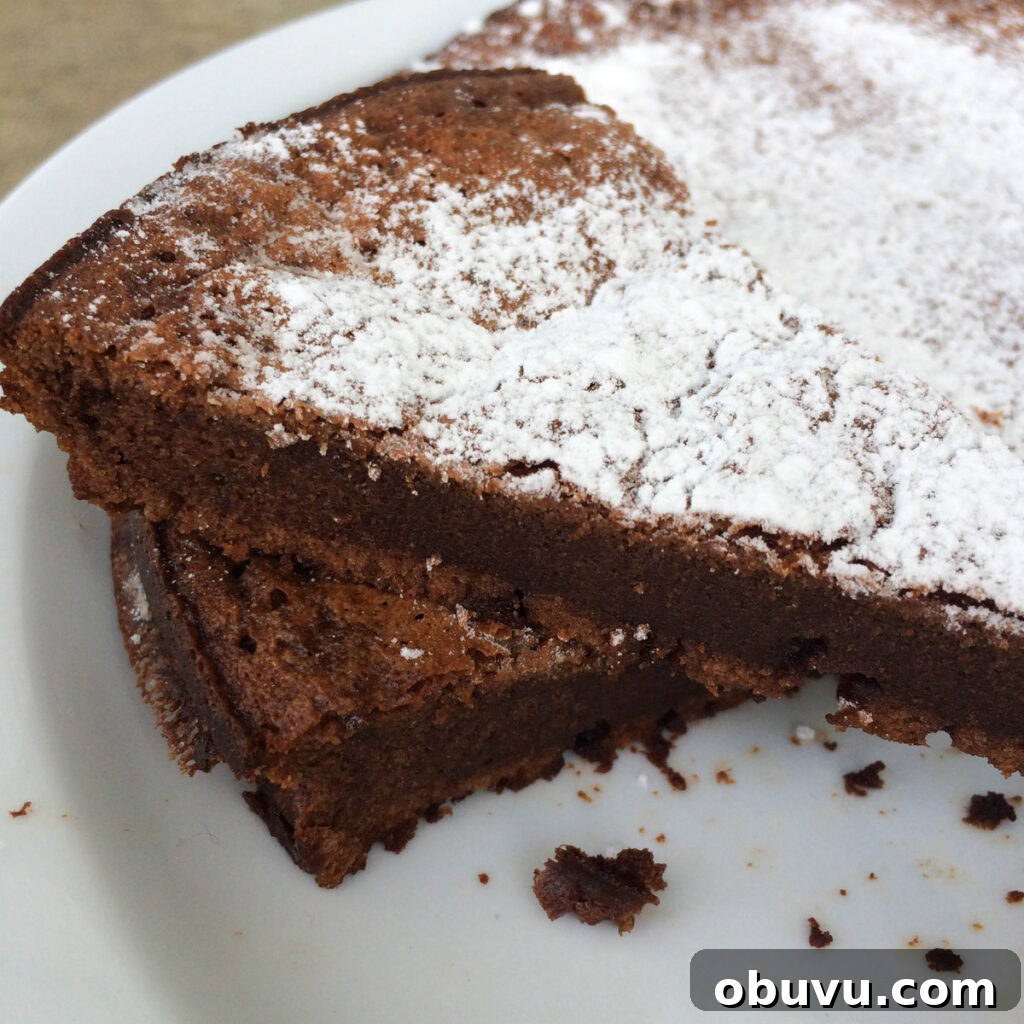 Two-Ingredient Flourless Nutella Cake Recipe 2 Two Ingredient Flourless Nutella Cake