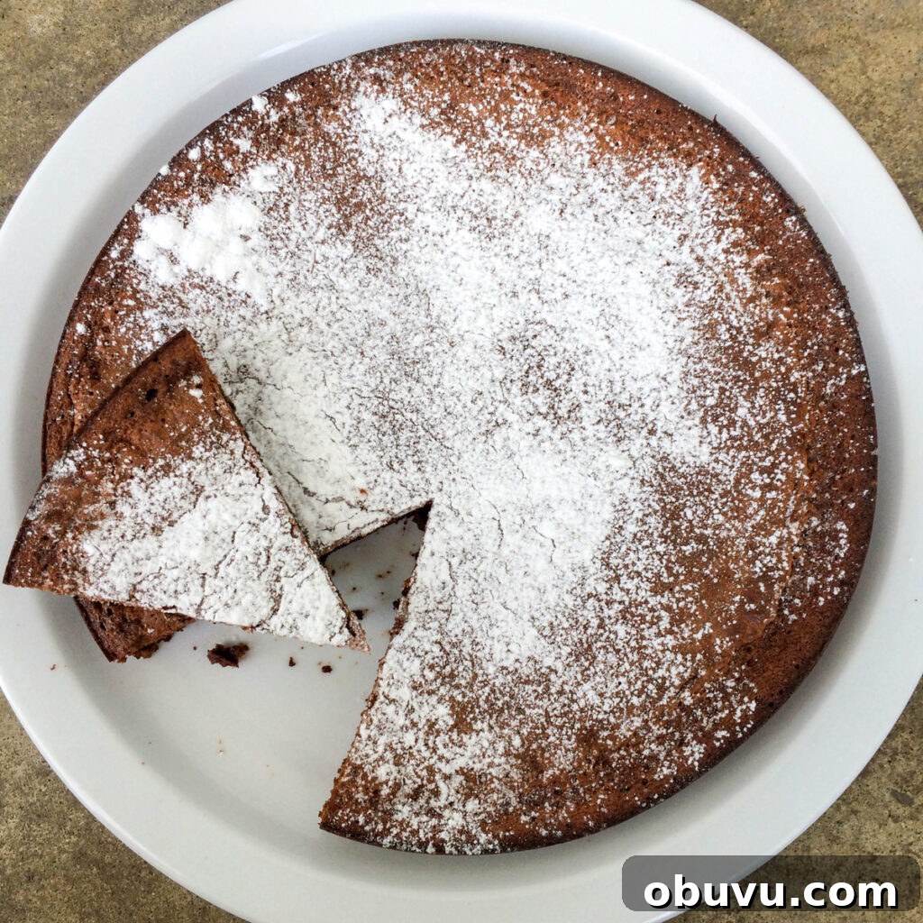 Two-Ingredient Flourless Nutella Cake Recipe 3 Two Ingredient Flourless Nutella Cake