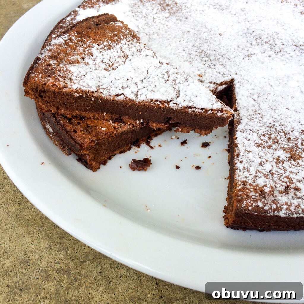 Two-Ingredient Flourless Nutella Cake Recipe 4 Two Ingredient Flourless Nutella Cake