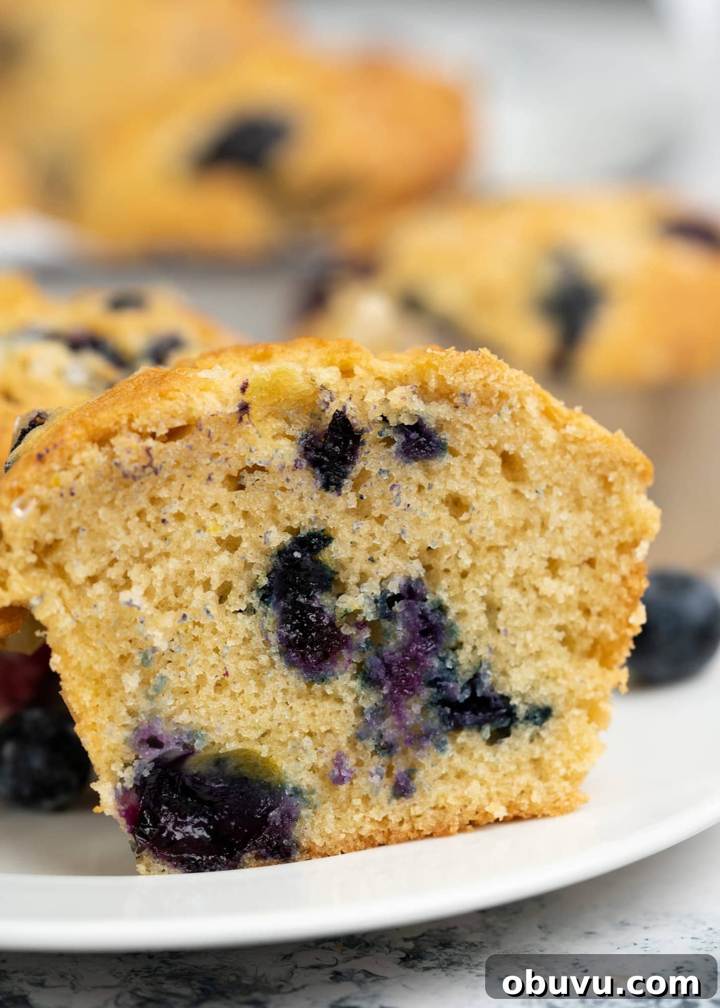 Perfectly Moist Blueberry Muffins Recipe You’ll Make Again 3 tender blueberry muffin crumbs
