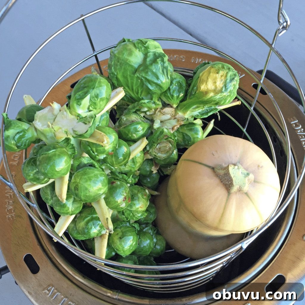 Char-Broil Big Easy Oil-Less Turkey Fryer Review: Performance & Tips 4 Vegetarian Thanksgiving using a Turkey Fryer from Girls Can Grill