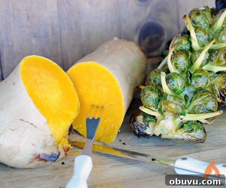 Char-Broil Big Easy Oil-Less Turkey Fryer Review: Performance & Tips 5 Vegetarian Thanksgiving using a Turkey Fryer from Girls Can Grill