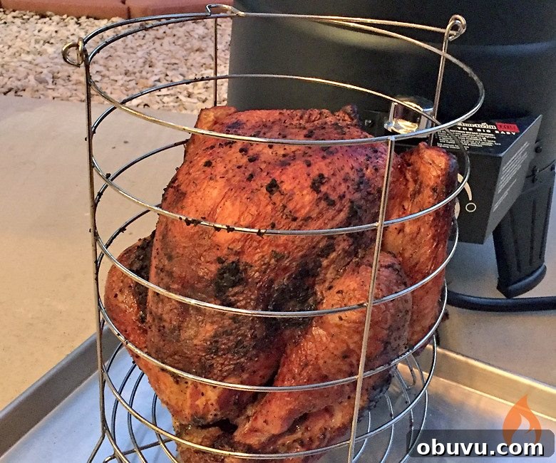 Char-Broil Big Easy Oil-Less Turkey Fryer Review: Performance & Tips 7 Oil-Less Fried Turkey from Girls Can Grill