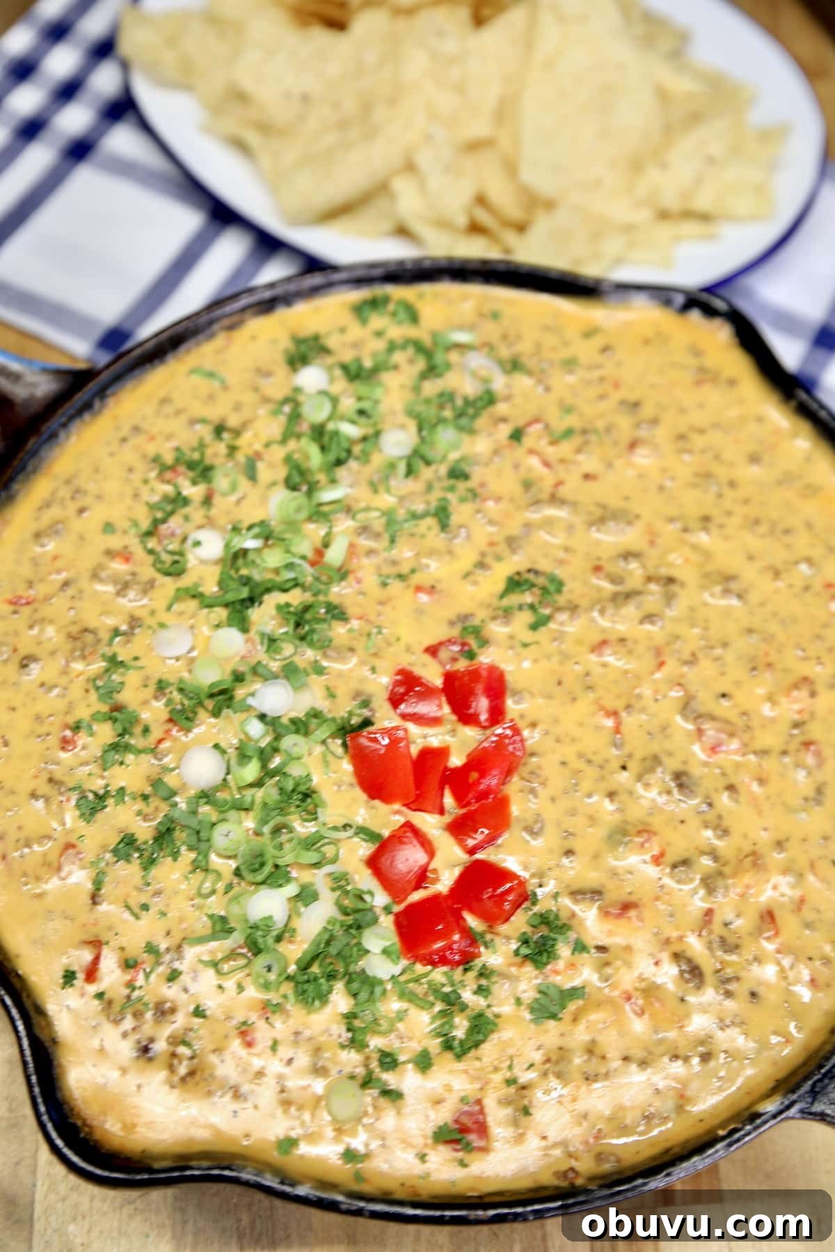 Venison queso grilling appetizer. Skillet of venison queso.