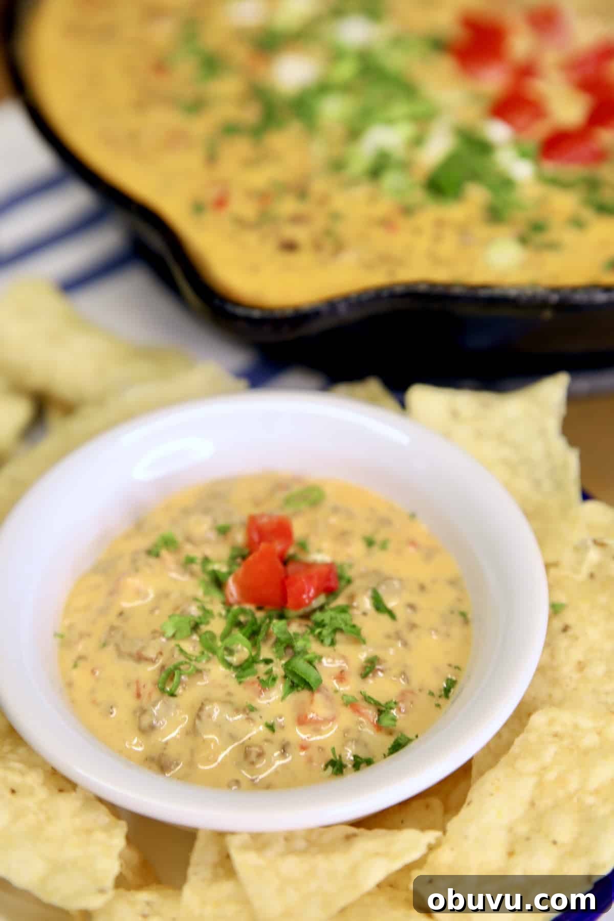Venison queso appetizer for parties. Bowl of queso with chips.