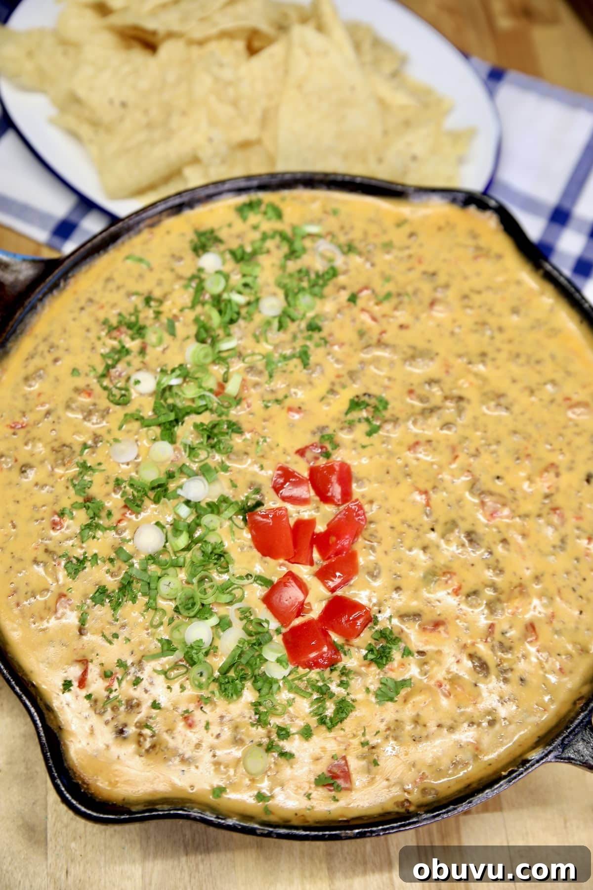 Venison RoTel Dip. Skillet of venison queso with green onion, cilantro and tomato garnish.