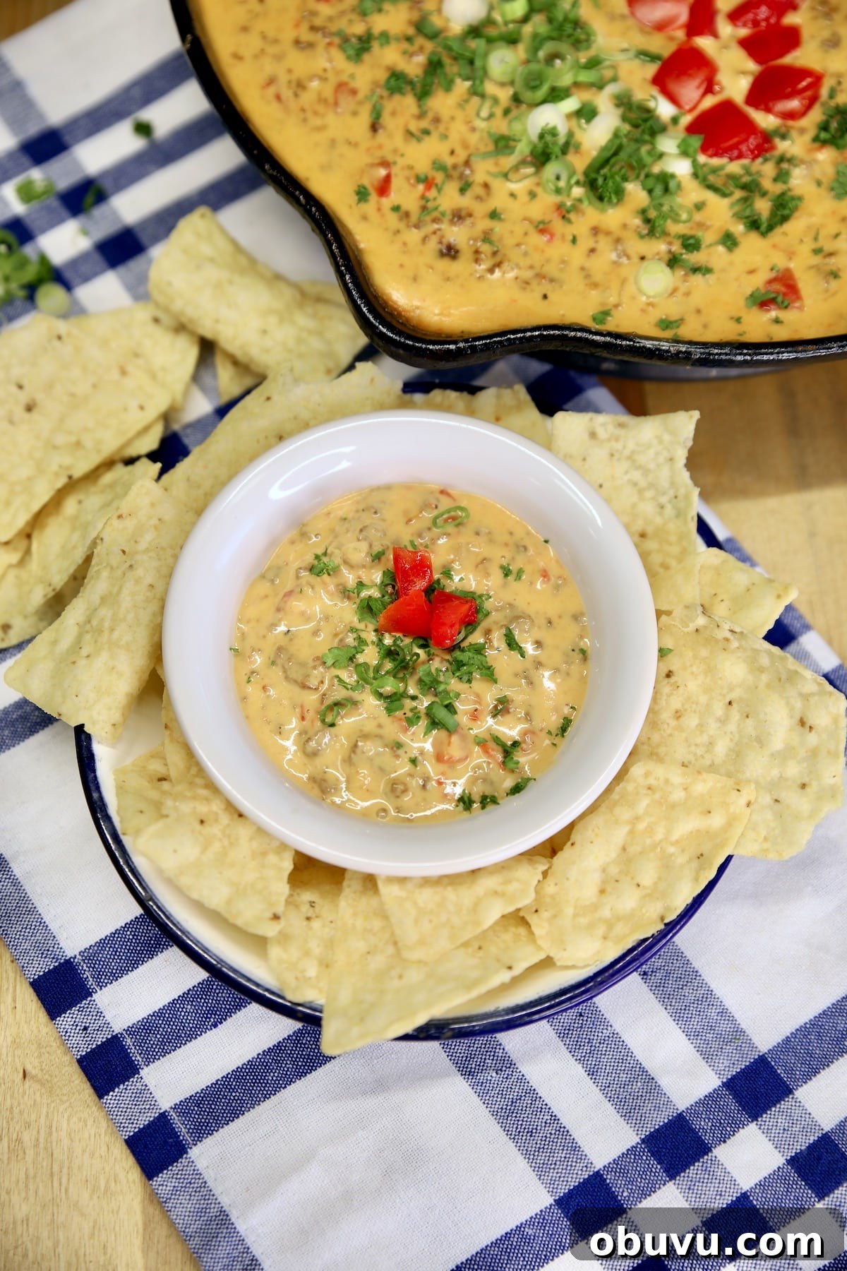 Game day venison queso. Small bowl of venison queso with tortilla chips.