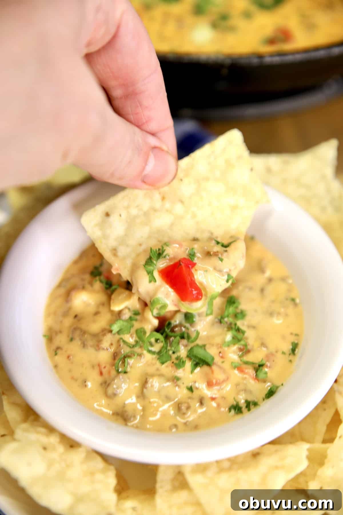 Venison Queso easy appetizer. Tortilla chip dipping into venison queso.