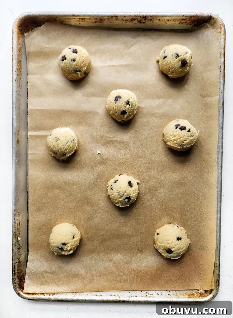 Chewy Chocolate Chip Cookies Made Without Brown Sugar 6 Chocolate Chip Cookies Without Brown Sugar ready for the oven