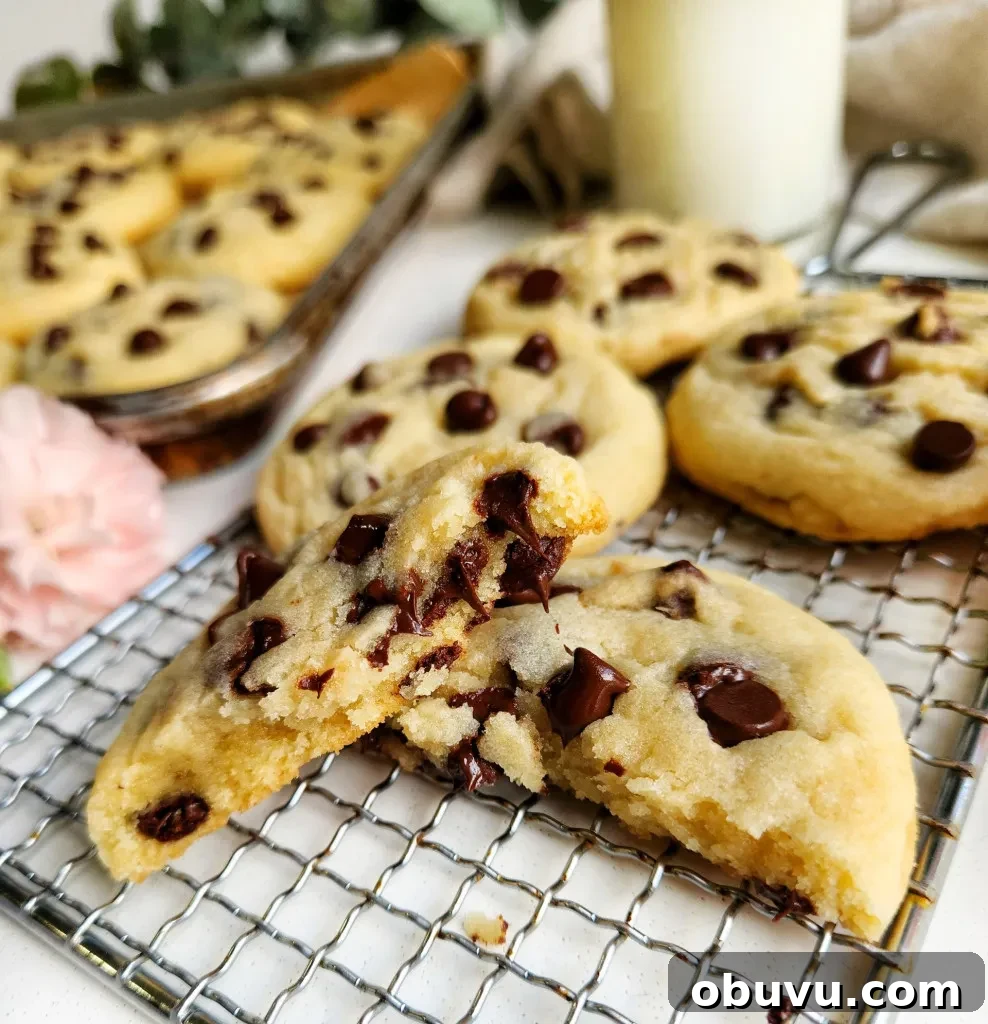 Chewy Chocolate Chip Cookies Made Without Brown Sugar 7 Chocolate Chip Cookies Without Brown Sugar