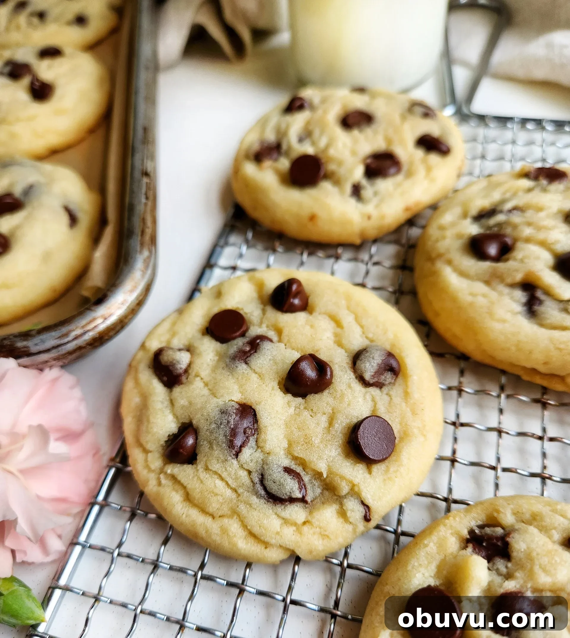 Chewy Chocolate Chip Cookies Made Without Brown Sugar 8 Chocolate Chip Cookies Without Brown Sugar