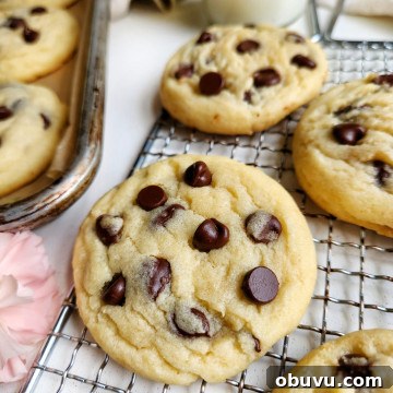 Chewy Chocolate Chip Cookies Made Without Brown Sugar 9 Chocolate Chip Cookies Without Brown Sugar