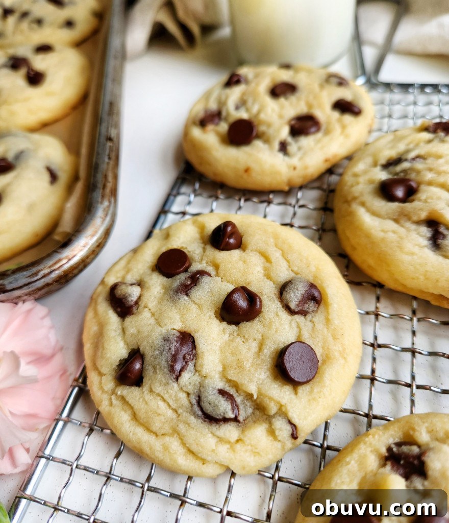 Chewy Chocolate Chip Cookies Made Without Brown Sugar 2 Chocolate Chip Cookies Without Brown Sugar