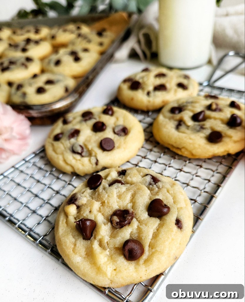 Chewy Chocolate Chip Cookies Made Without Brown Sugar 3 Chocolate Chip Cookies Without Brown Sugar