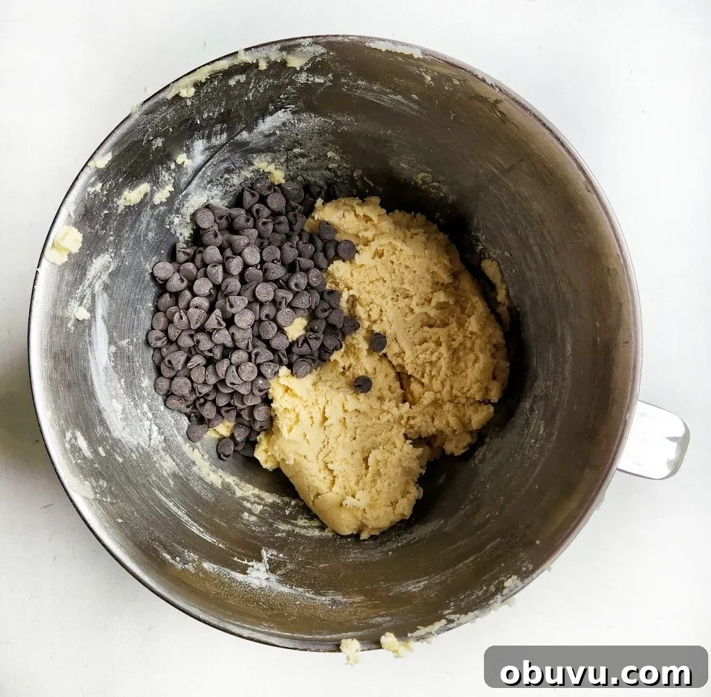 Chewy Chocolate Chip Cookies Made Without Brown Sugar 5 fold in the chocolate chips