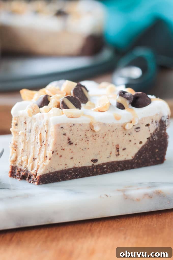 Frozen Peanut Butter Chocolate Chip Pie Slice of chocolate chip pie with a bite taken out.