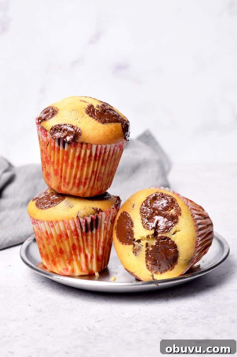 Ultimate Moist Chocolate Chip Muffins Recipe 2 moist chocolate chip muffins