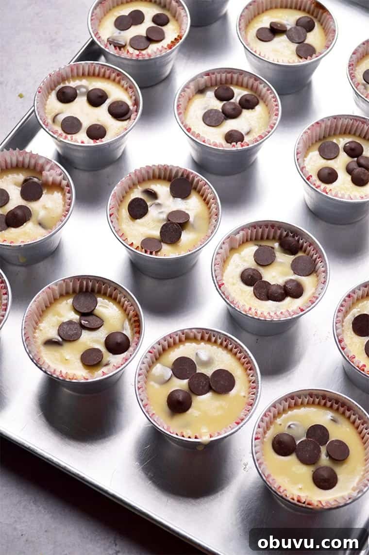 Ultimate Moist Chocolate Chip Muffins Recipe 3 moist chocolate chip muffins batter
