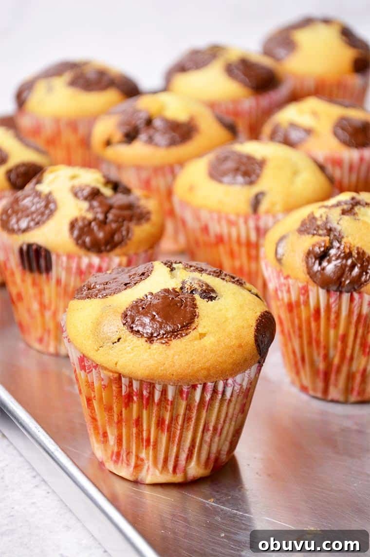 Ultimate Moist Chocolate Chip Muffins Recipe 4 moist chocolate chip muffins
