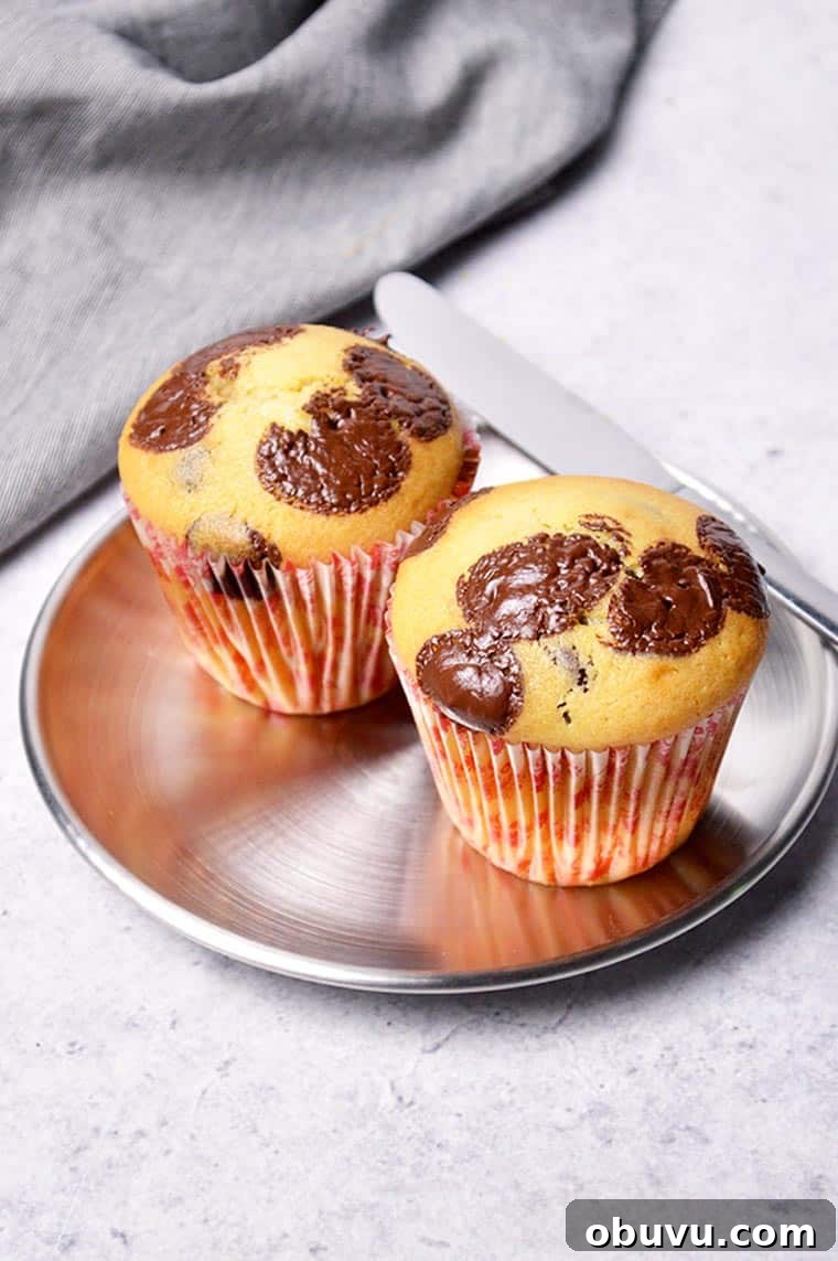 Ultimate Moist Chocolate Chip Muffins Recipe 5 moist chocolate chip muffins