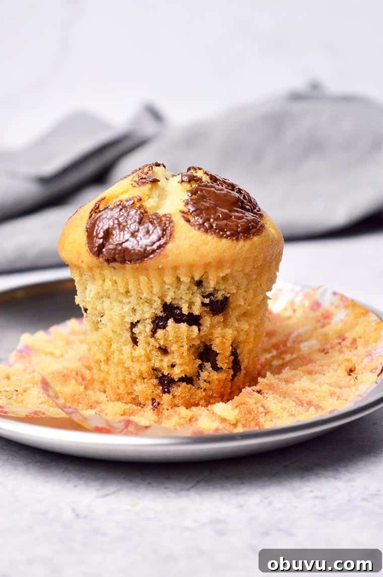 Ultimate Moist Chocolate Chip Muffins Recipe 6 moist chocolate chip muffins