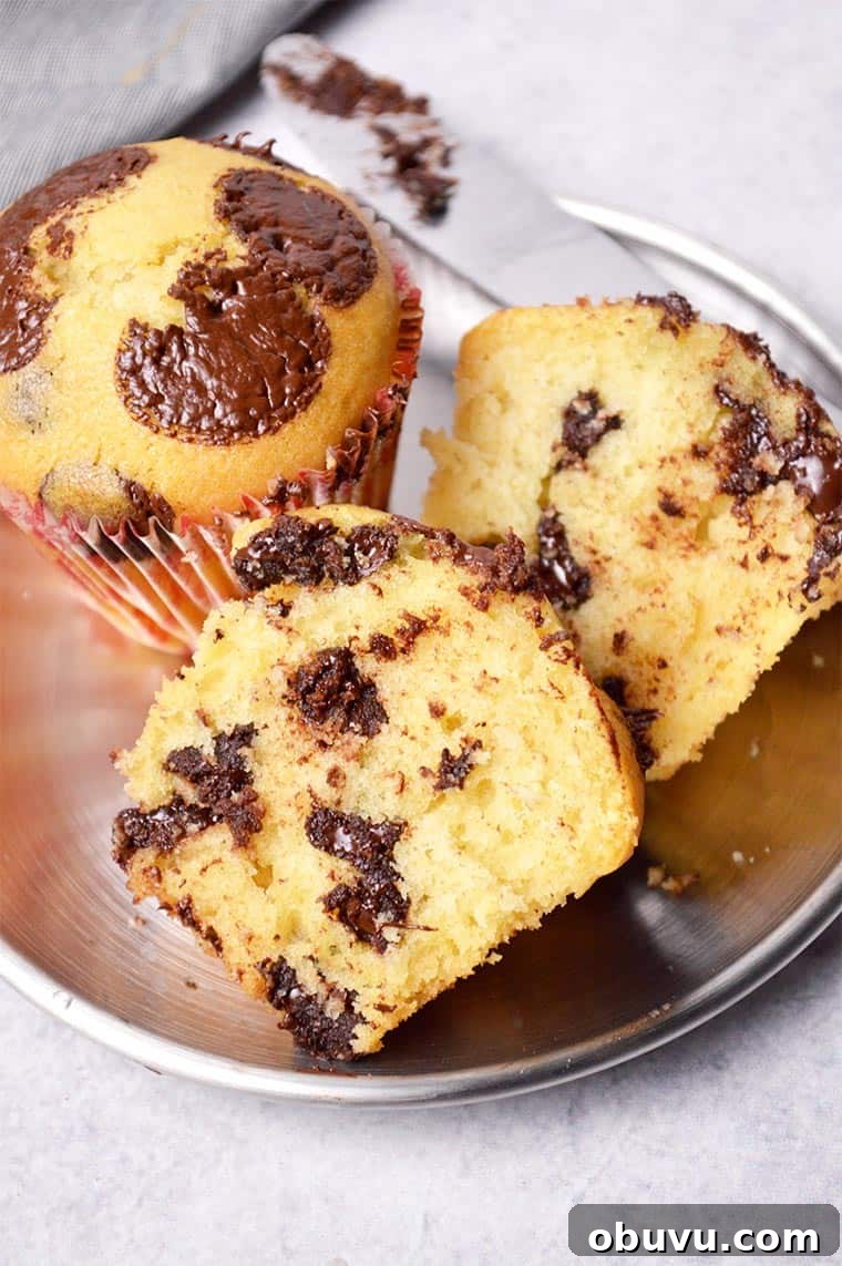 Ultimate Moist Chocolate Chip Muffins Recipe 7 moist chocolate chip muffins