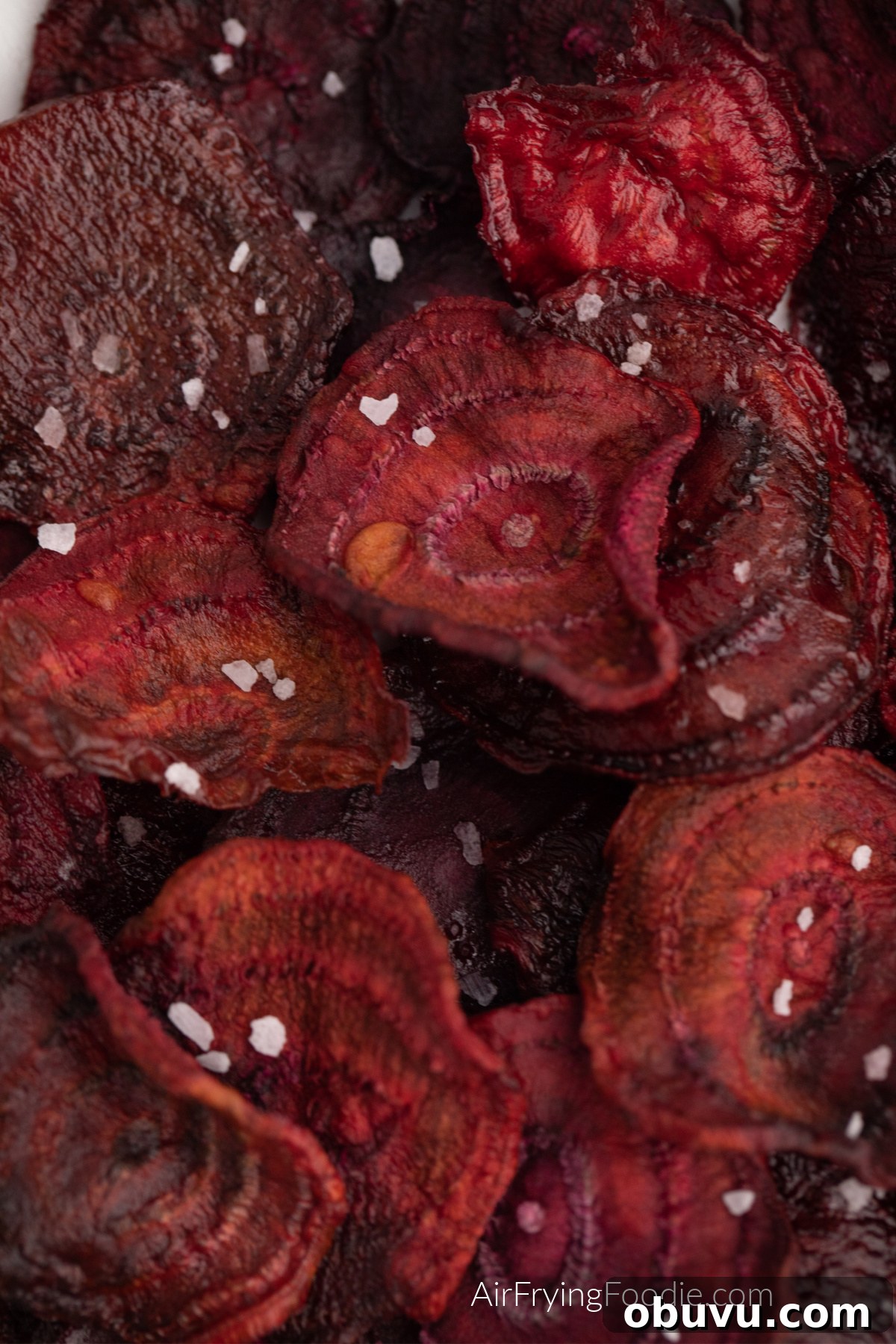 Crispy Air Fryer Beet Chips Recipe: Quick Homemade Snack 2 Close up photo of air fried beet chips with kosher salt sprinkled on top.