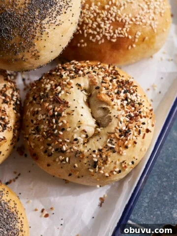 A Sourdough Discard Bagel with everything bagel seasoning.