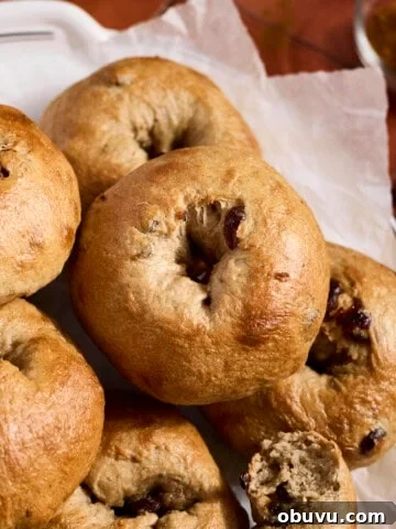 Sourdough Discard Cinnamon Raisin Bagels in a pile.