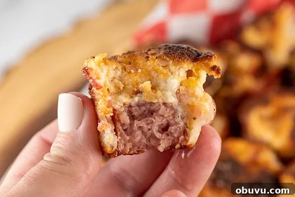 air-fryer-bacon-wrapped-kielbasa-bites-4.jpg air fryer bacon wrapped kielbasa bites 4