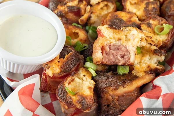air-fryer-bacon-wrapped-kielbasa-bites-2.jpg air fryer bacon wrapped kielbasa bites 2