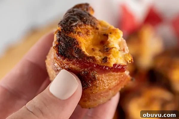 air-fryer-bacon-wrapped-kielbasa-bites-3.jpg air fryer bacon wrapped kielbasa bites 3