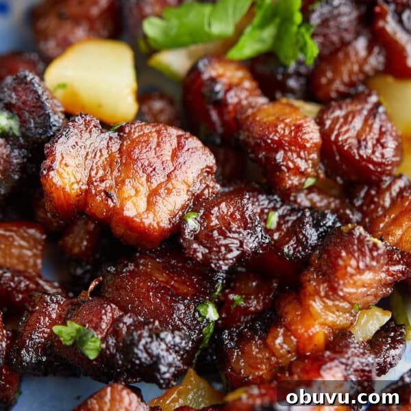 Air Fryer Boneless Skinless Frozen Chicken Breasts — Quick Juicy Results 10 img 12121 9