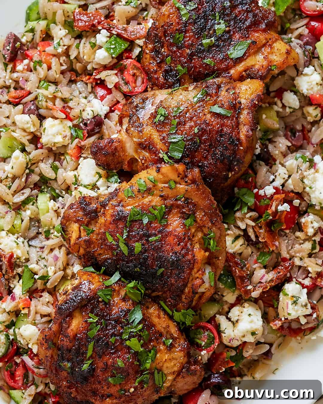 Mediterranean Orzo Salad with Pan-Roasted Chicken Thighs — Paleo & Gluten-Free 3 Mediterranean Orzo Salad with Pan-Roasted Chicken Thighs Paleo Gluten-Free