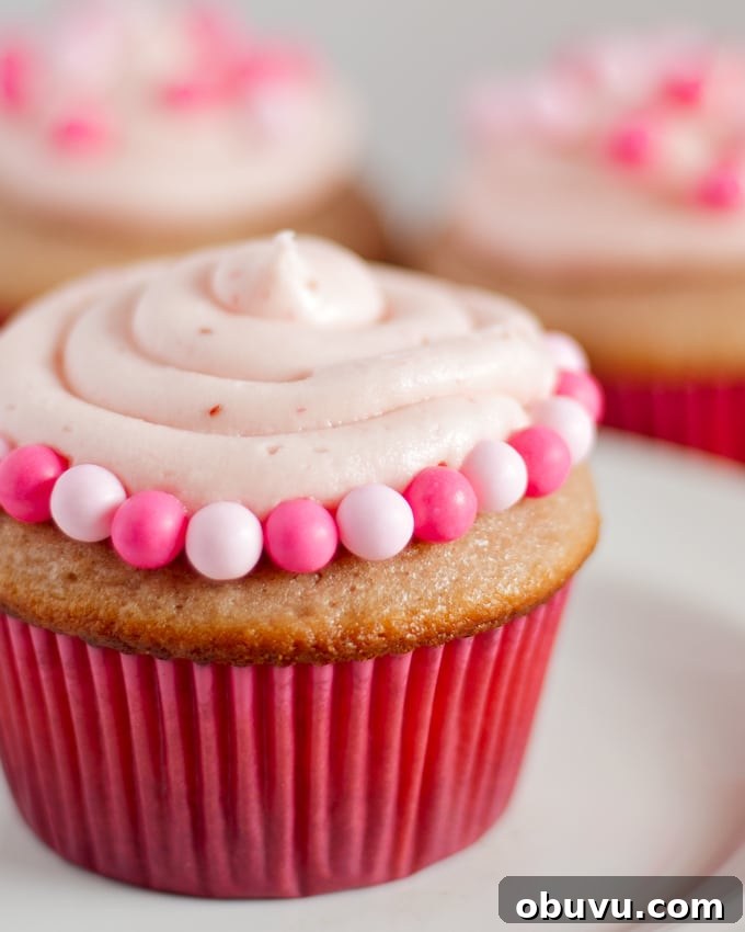 Double Berry Cupcakes Recipe with Fresh Strawberry and Blueberry Frosting 2 Double Berry Cupcakes - both the cupcakes and frosting are made with a mixture of raspberry and strawberry puree! | honeyandbirch.com