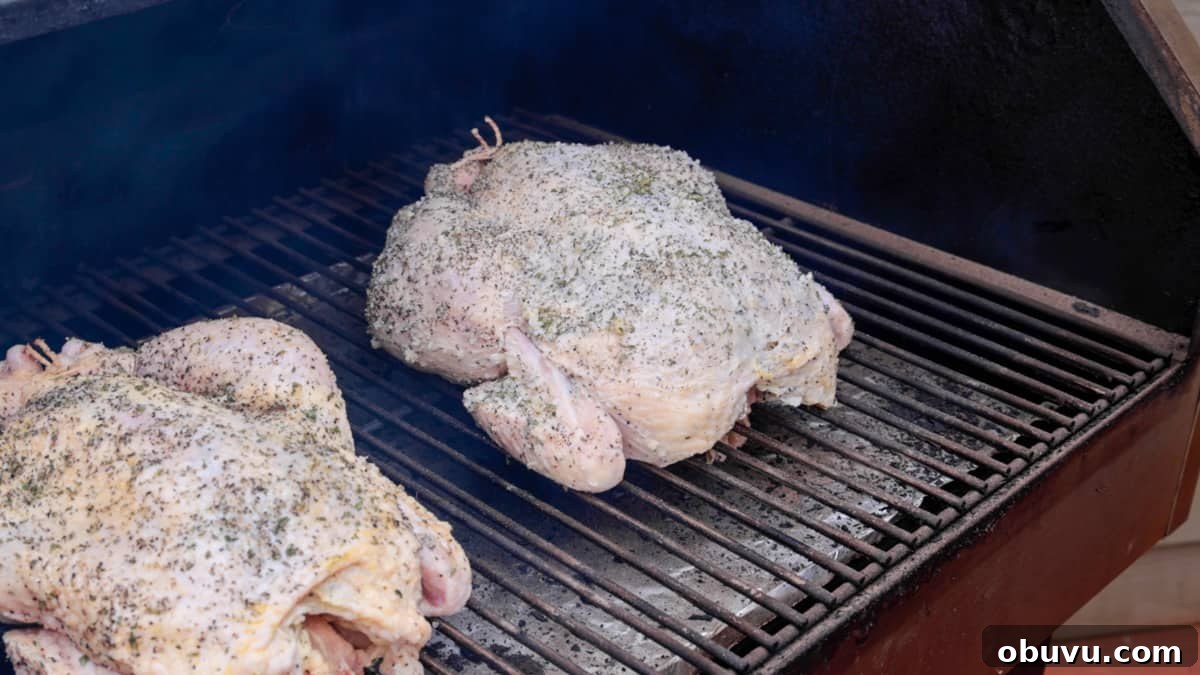 Smoked Whole Chicken Recipe: Juicy, Crispy Skin and Flavorful Smoke 6 Two seasoned chickens on smoker rack starting to cook