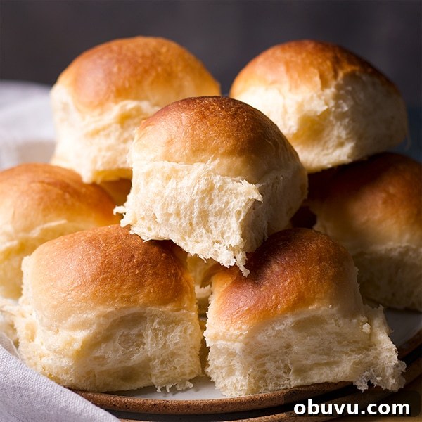 November Baking Challenge: Join the Bake Club + Win Prizes 2 A plate full of homemade dinner rolls.