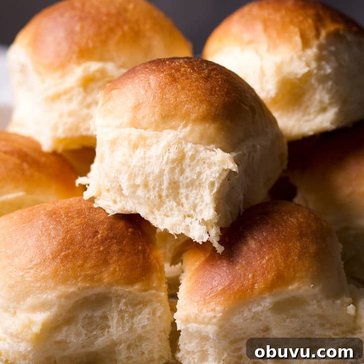 A plate full of homemade dinner rolls.